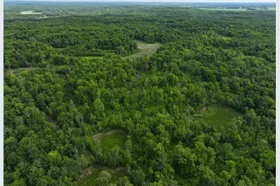 Tbd County Highway 26, Rochert, MN 56578 - Photo 1