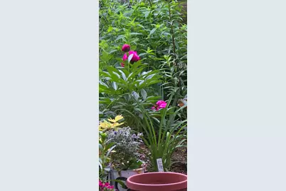 3207 Bryant Avenue N, Minneapolis, MN 55412 - Photo 26