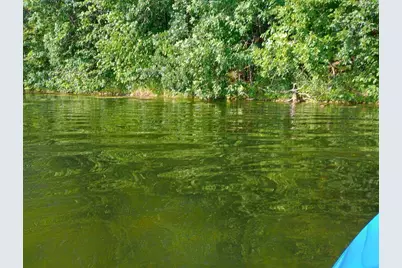 40039 County Rd 17, Browerville, MN 56438 - Photo 12