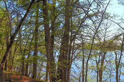 40039 County Rd 17, Browerville, MN 56438 - Photo 8