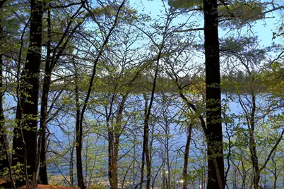 40039 County Rd 17, Browerville, MN 56438 - Photo 2