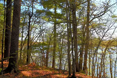 40039 County Rd 17, Browerville, MN 56438 - Photo 4