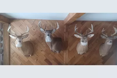 Tbd Liesgraf, Stockholm, WI 54769 - Photo 12