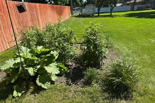 209 Burr Oak Dr, Albert Lea, MN 56007 - Photo 6