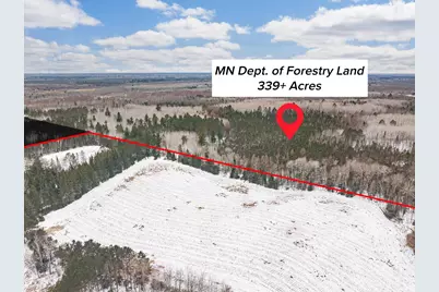 Tbd County Rd 72, Swan River, MN 55784 - Photo 2