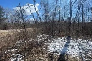 13369 Arrowhead Dr SW, Pillager, MN 56473 - Photo 2