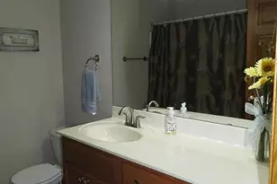 924 Balsam Ct NE, Pine Island, MN 55963 - Photo 38