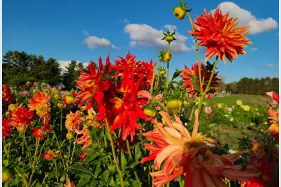 251X 183rd Ave NE, Wyoming, MN 55092 - Photo 6