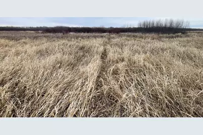 Tbd 170th Street NW, Thief River Falls, MN 56701 - Photo 40