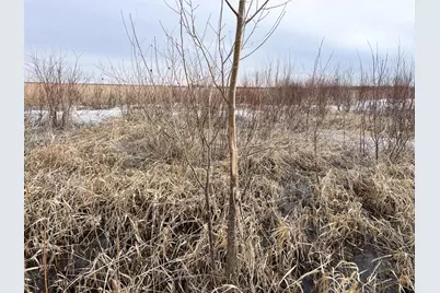 Tbd 170th Street NW, Thief River Falls, MN 56701 - Photo 14