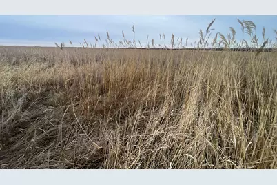 Tbd 170th Street NW, Thief River Falls, MN 56701 - Photo 32