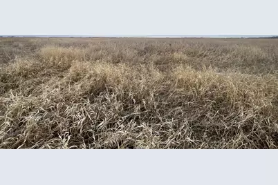 Tbd 170th Street NW, Thief River Falls, MN 56701 - Photo 26