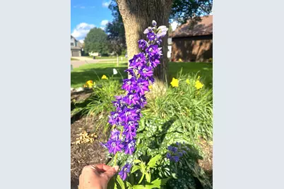 9243 Queens Gardens N, Brooklyn Park, MN 55443 - Photo 22