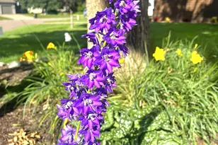 9243 Queens Gardens N, Brooklyn Park, MN 55443 - Photo 22