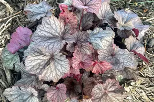 9243 Queens Gardens N, Brooklyn Park, MN 55443 - Photo 18