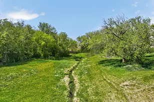 26535 State Hwy 78, Elbow Lake, MN 56531 - Photo 84