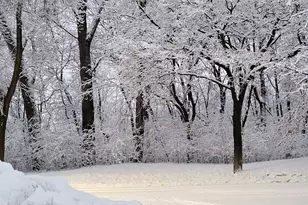 6220 Sandpiper Ct, Edina, MN 55436 - Photo 22