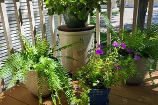 6220 Sandpiper Ct, Edina, MN 55436 - Photo 18