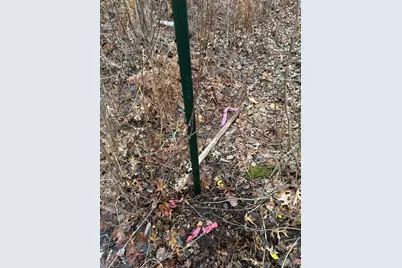 Tbd Island Michelle Lee Trail, Park Rapids, MN 56470 - Photo 12