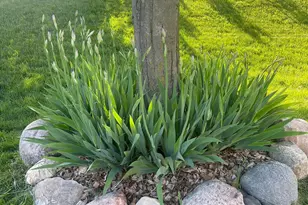 7609 Lasalle Ave NE, Otsego, MN 55301 - Photo 52