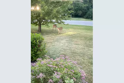 4806 22nd Street NE, Willmar, MN 56201 - Photo 4