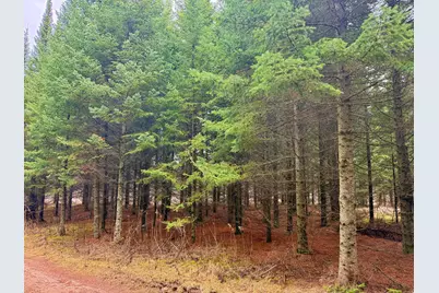 Tbd 370th Lane, McGregor, MN 55760 - Photo 4