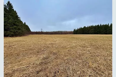 Tbd 370th Lane, McGregor, MN 55760 - Photo 10