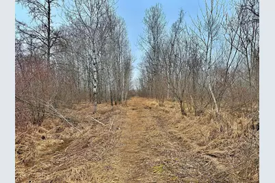 Tbd 370th Lane, McGregor, MN 55760 - Photo 16