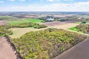15312 Bison Rd, Swanville, MN 56382 - Photo 82