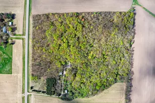 15312 Bison Rd, Swanville, MN 56382 - Photo 86