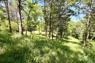 28895 Belle Creek Way, Welch Township, MN 55089 - Photo 102
