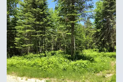 Tbd Rush Island Lake Road, Deer River, MN 56636 - Photo 8