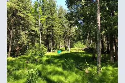 Tbd Rush Island Lake Road, Deer River, MN 56636 - Photo 16