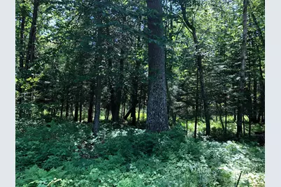 Tbd Rush Island Lake Road, Deer River, MN 56636 - Photo 10