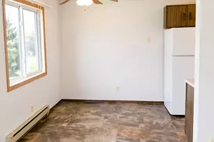 320 1st St, Clinton, MN 56225 - Photo 4