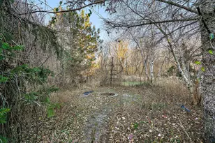 2368 Barton Ave NW, Buffalo, MN 55313 - Photo 122