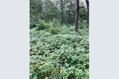 Lot 39 & 40 Owl Circle, Breezy Point, MN 56472 - Photo 4