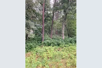 Lot 39 & 40 Owl Circle, Breezy Point, MN 56472 - Photo 2