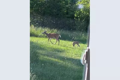 3818 131st Street SW, Pillager, MN 56473 - Photo 38