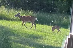 3818 131st St SW, Pillager, MN 56473 - Photo 38