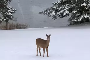 17096 Skyview Dr NW, Bemidji, MN 56601 - Photo 42