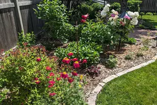 298 Washburn Ave N, Minneapolis, MN 55405 - Photo 34