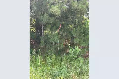 Xxx 17th Street, Princeton, MN 55371 - Photo 8