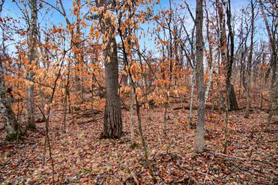 Tbd Lots 200 & 201 Lynx Drive, Breezy Point, MN 56472 - Photo 6