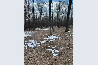 36599 Dove, Aitkin, MN 56431 - Photo 6