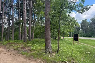 26470 County 89, Park Rapids, MN 56470 - Photo 48