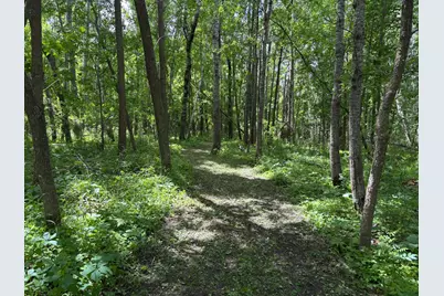 51692 385th Street, New York Mills, MN 56567 - Photo 72