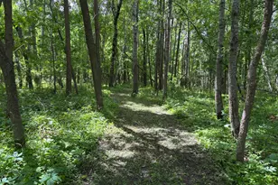 51692 385th St, New York Mills, MN 56567 - Photo 72