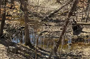 51692 385th St, New York Mills, MN 56567 - Photo 38