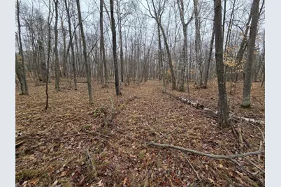 Tbd Xxx, Longville, MN 56655 - Photo 6